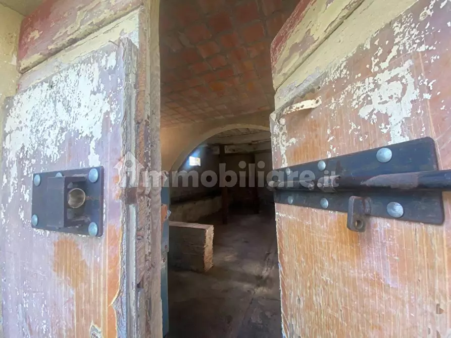 Immagine 21 di Rustico / casale in vendita  a Palaia