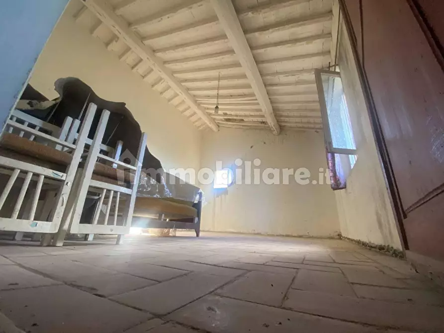 Immagine 29 di Rustico / casale in vendita  a Palaia