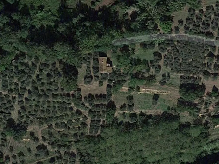 Immagine 17 di Rustico / casale in vendita  a Palaia