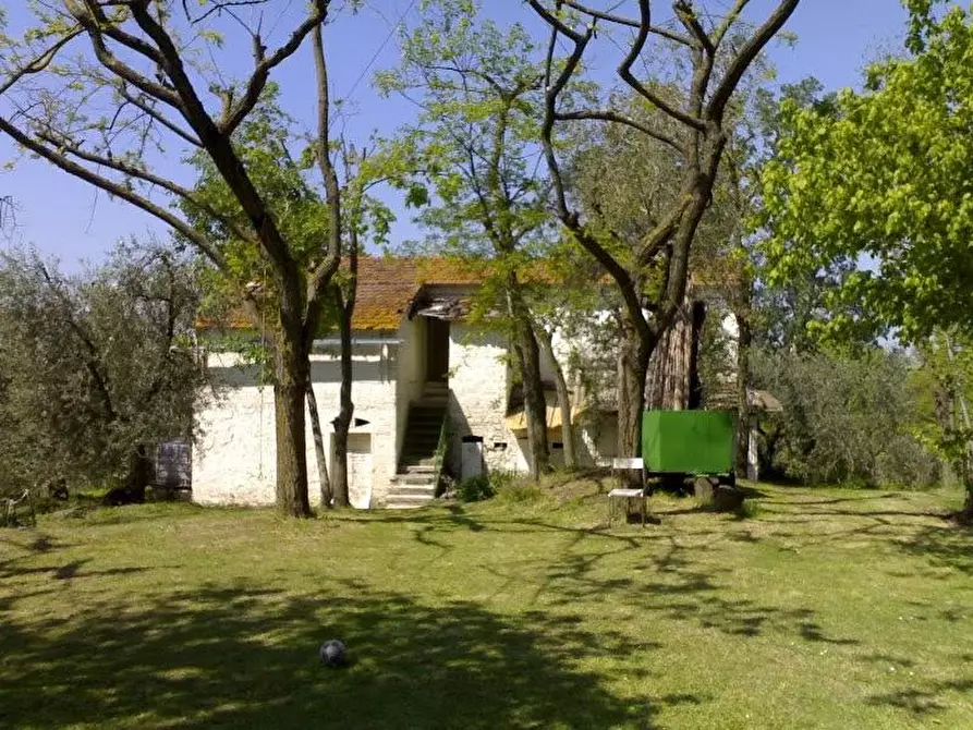 Immagine 3 di Rustico / casale in vendita  a Palaia