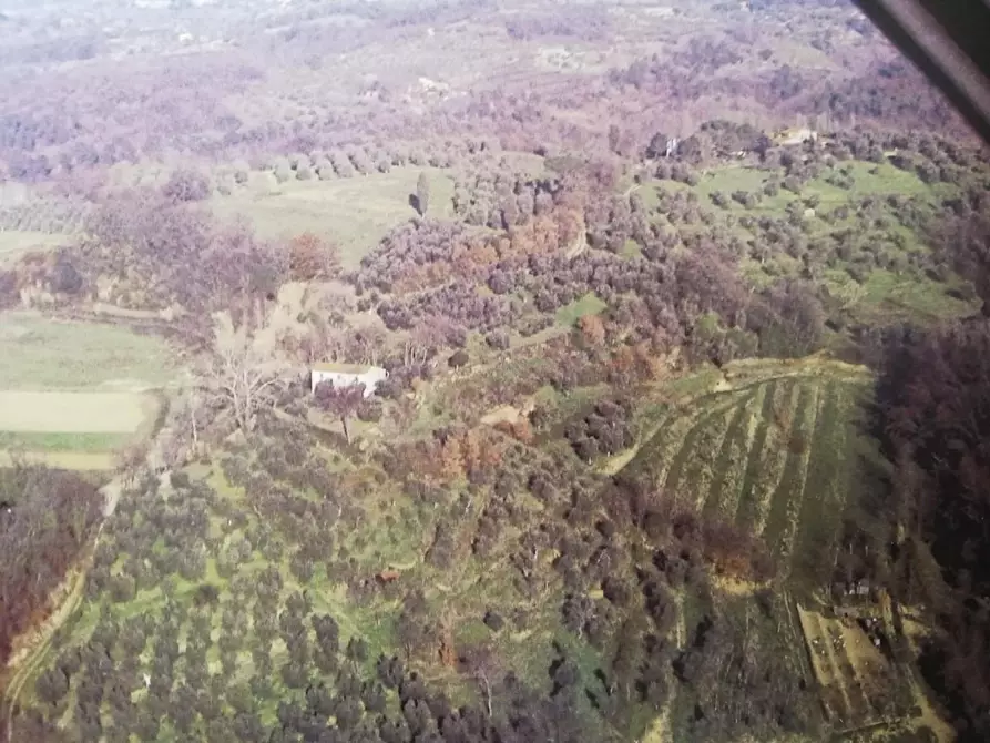 Immagine 2 di Rustico / casale in vendita  a Palaia
