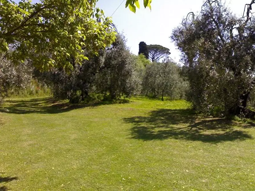 Immagine 5 di Rustico / casale in vendita  a Palaia