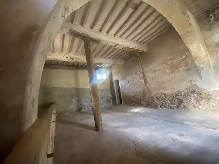 Immagine 23 di Rustico / casale in vendita  a Palaia