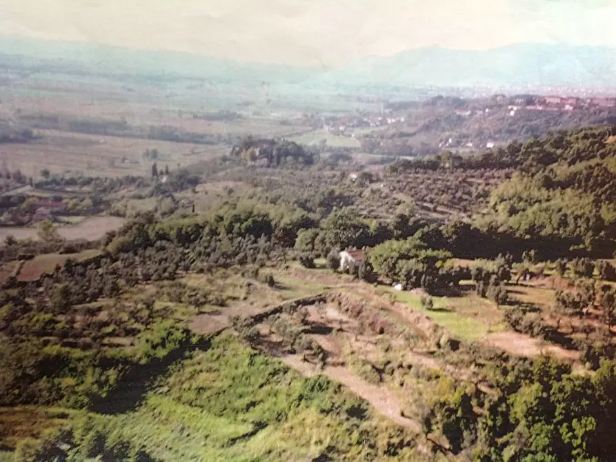 Immagine 14 di Rustico / casale in vendita  a Palaia