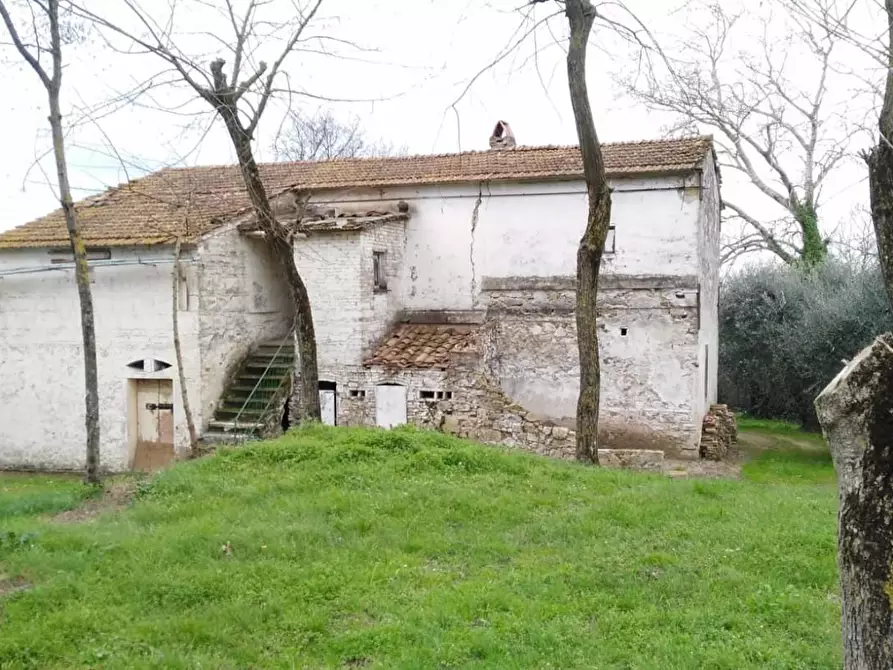 Immagine 8 di Rustico / casale in vendita  a Palaia