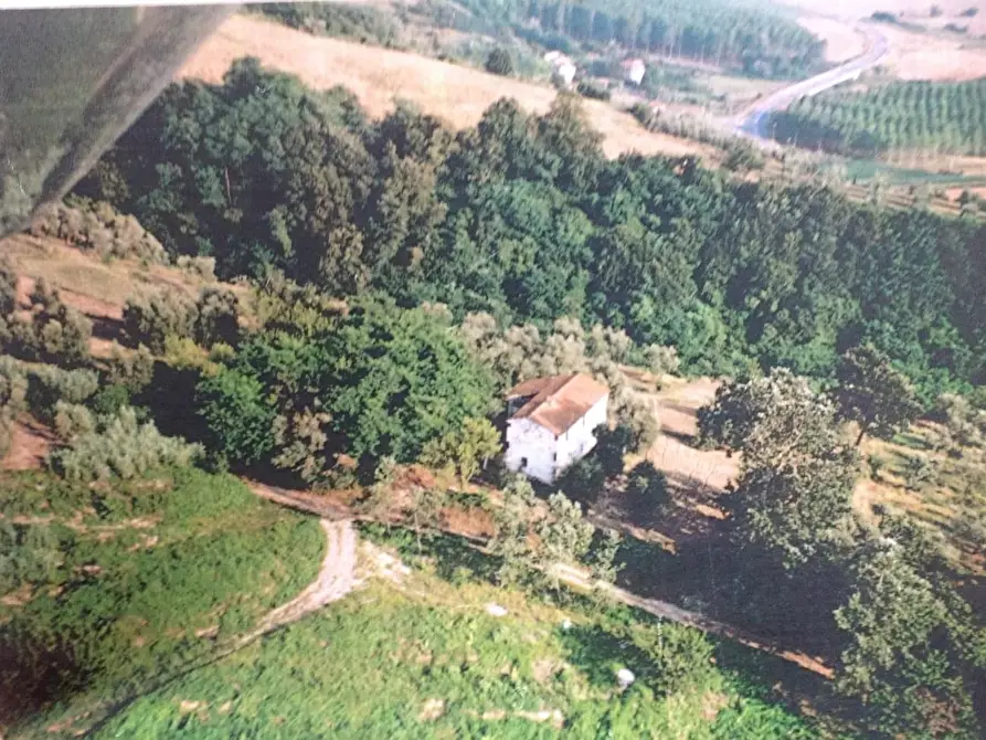 Immagine 1 di Rustico / casale in vendita  a Palaia