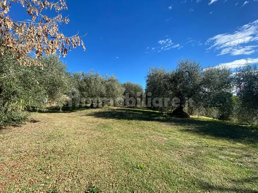 Immagine 20 di Rustico / casale in vendita  a Palaia