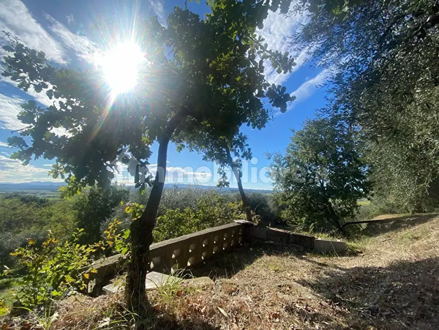 Immagine 19 di Rustico / casale in vendita  a Palaia