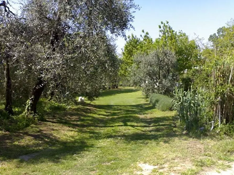 Immagine 7 di Rustico / casale in vendita  a Palaia