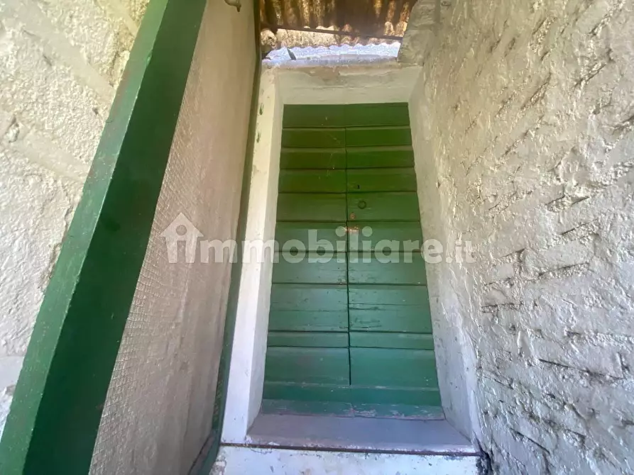 Immagine 25 di Rustico / casale in vendita  a Palaia