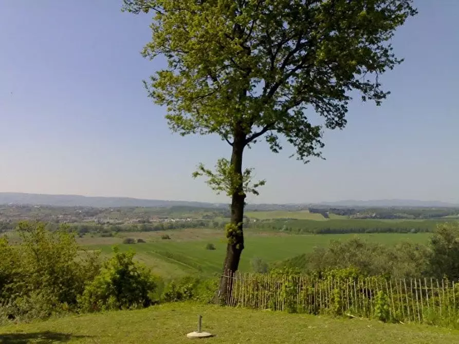 Immagine 6 di Rustico / casale in vendita  a Palaia