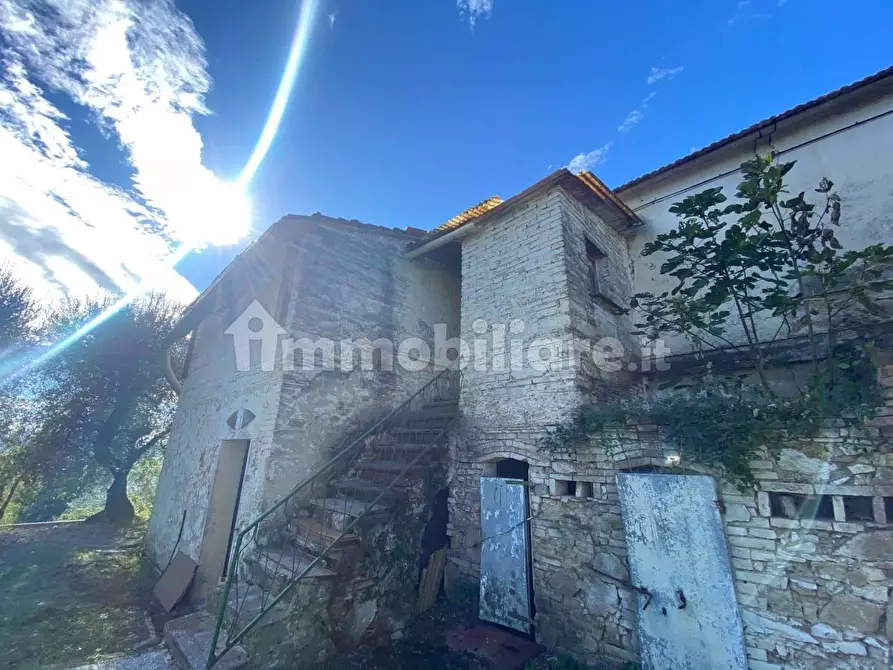 Immagine 24 di Rustico / casale in vendita  a Palaia
