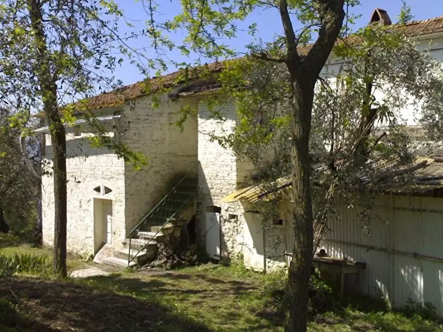 Immagine 4 di Rustico / casale in vendita  a Palaia