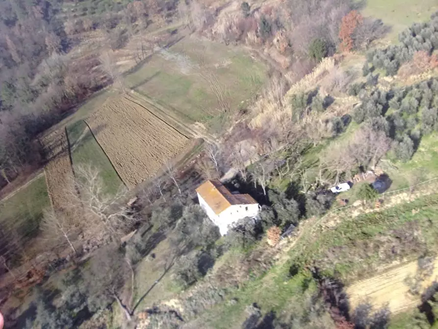 Immagine 15 di Rustico / casale in vendita  a Palaia