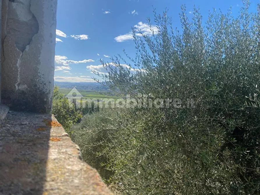 Immagine 34 di Rustico / casale in vendita  a Palaia