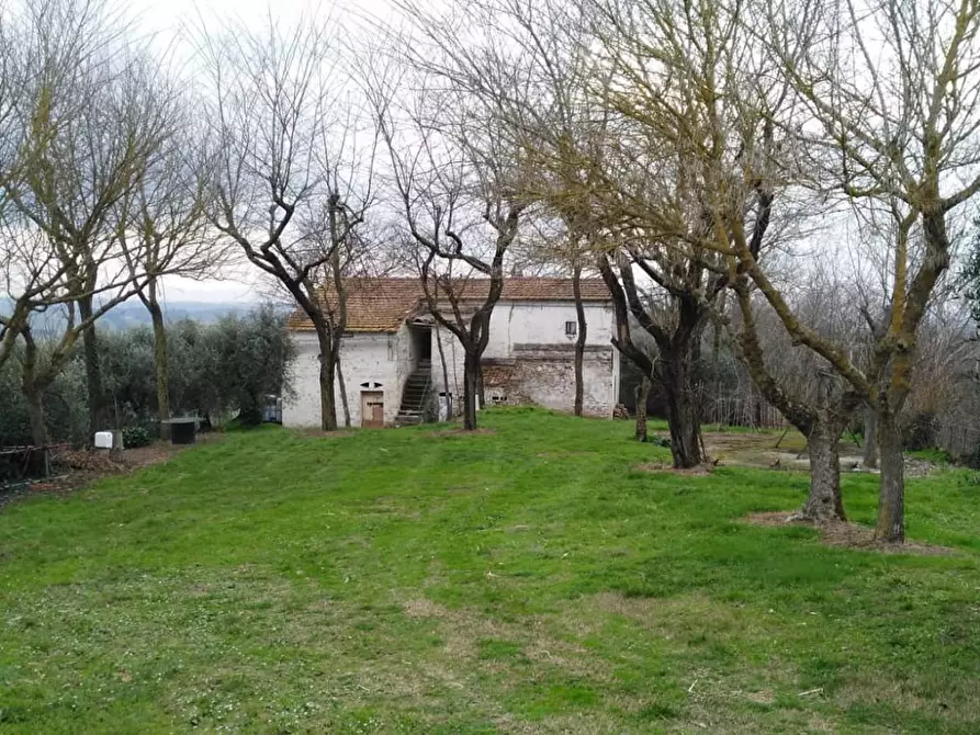 Immagine 9 di Rustico / casale in vendita  a Palaia