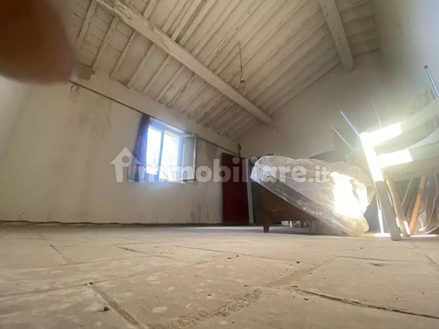 Immagine 30 di Rustico / casale in vendita  a Palaia