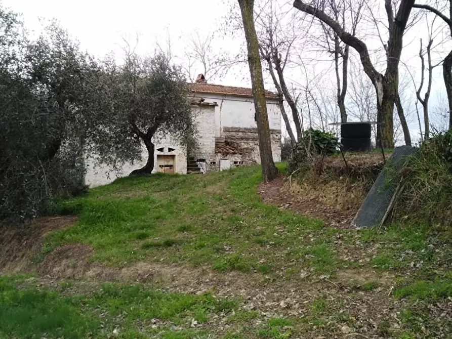 Immagine 10 di Rustico / casale in vendita  a Palaia