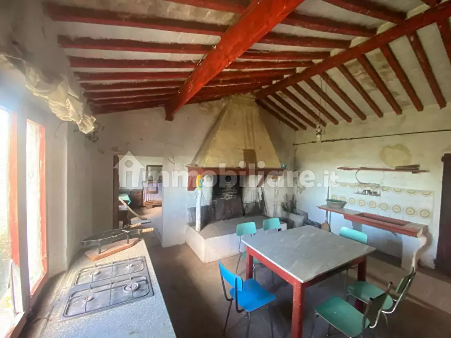 Immagine 27 di Rustico / casale in vendita  a Palaia