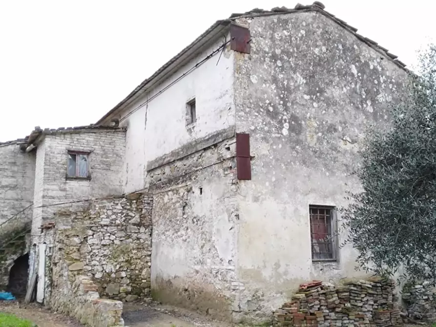 Immagine 11 di Rustico / casale in vendita  a Palaia