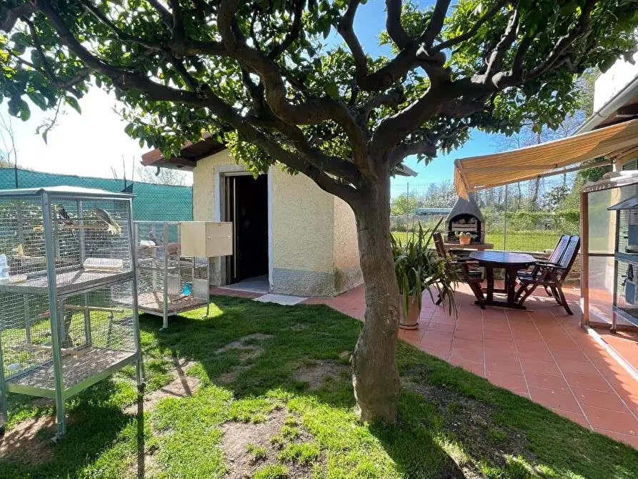 Immagine 3 di Casa indipendente in vendita  a Massa