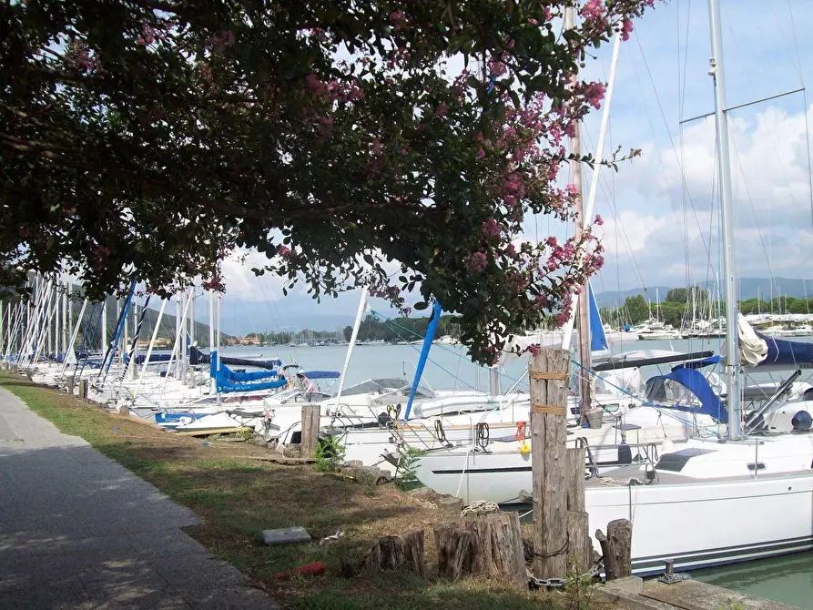 Immagine 29 di Appartamento in vendita  a Ameglia