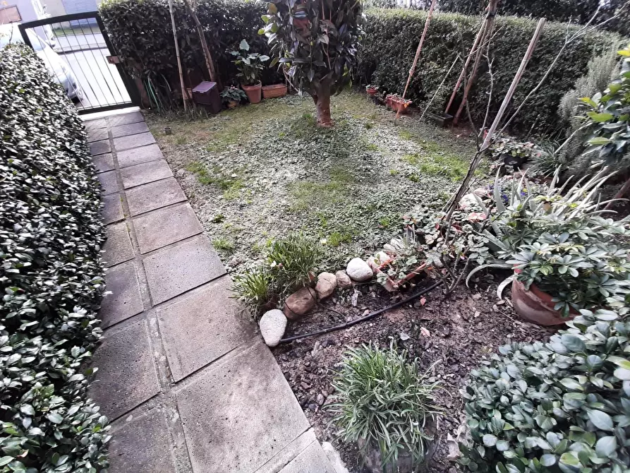 Immagine 8 di Appartamento in vendita  a Ponsacco