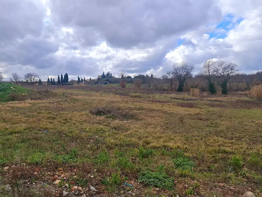 Immagine 5 di Terreno residenziale in vendita  a Colle Di Val D'elsa