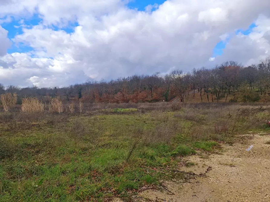 Immagine 3 di Terreno residenziale in vendita  a Colle Di Val D'elsa