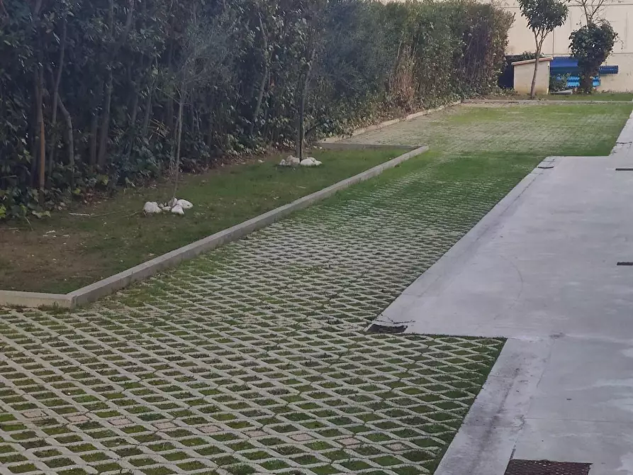 Immagine 15 di Appartamento in affitto  a Pisa