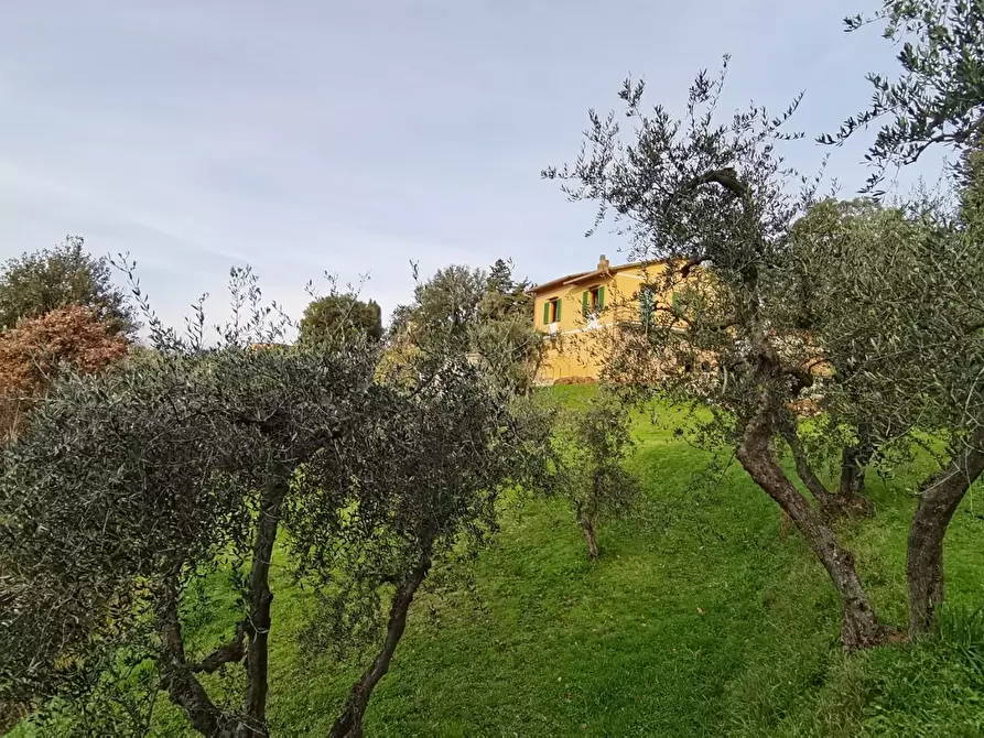 Immagine 1 di Casa indipendente in vendita  a Palaia