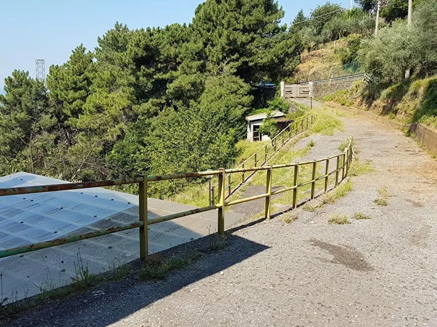 Immagine 14 di Casa indipendente in vendita  a Massa