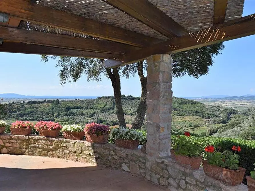 Immagine 7 di Terreno industriale in vendita  a Campiglia Marittima