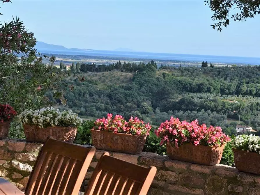 Immagine 4 di Terreno industriale in vendita  a Campiglia Marittima
