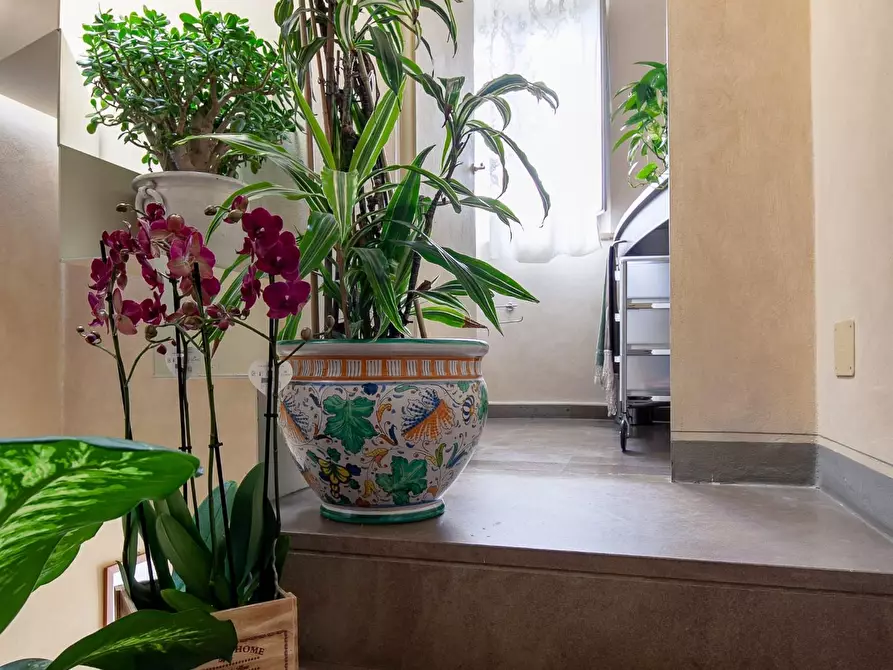 Immagine 27 di Casa indipendente in vendita  a San Giuliano Terme