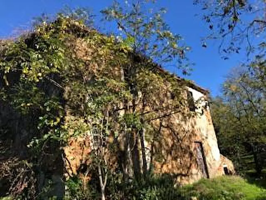 Immagine 1 di Casa colonica in vendita  a Capraia E Limite