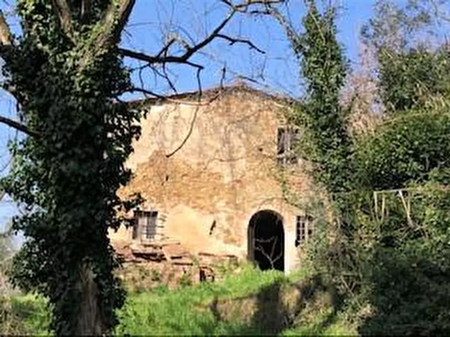 Immagine 12 di Casa colonica in vendita  a Capraia E Limite