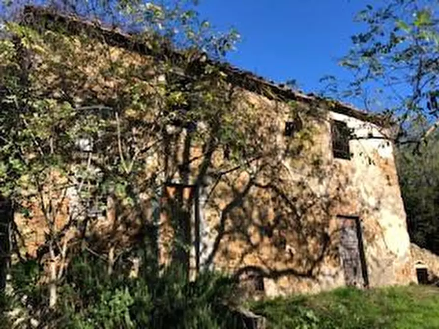 Immagine 9 di Casa colonica in vendita  a Capraia E Limite