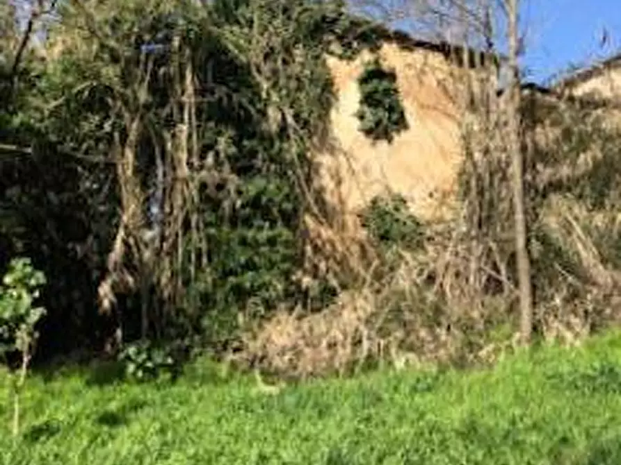 Immagine 10 di Casa colonica in vendita  a Capraia E Limite