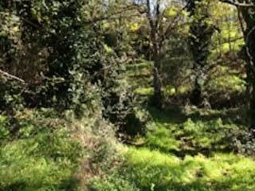 Immagine 8 di Casa colonica in vendita  a Capraia E Limite