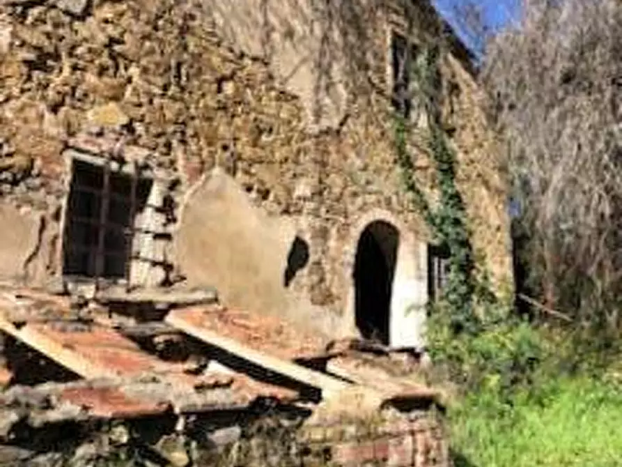 Immagine 2 di Casa colonica in vendita  a Capraia E Limite