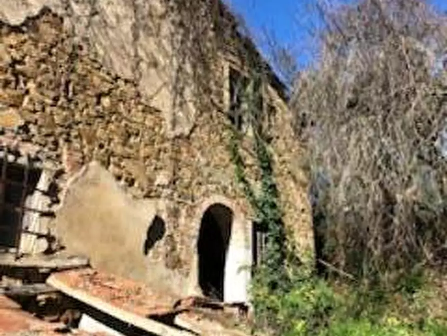 Immagine 3 di Casa colonica in vendita  a Capraia E Limite