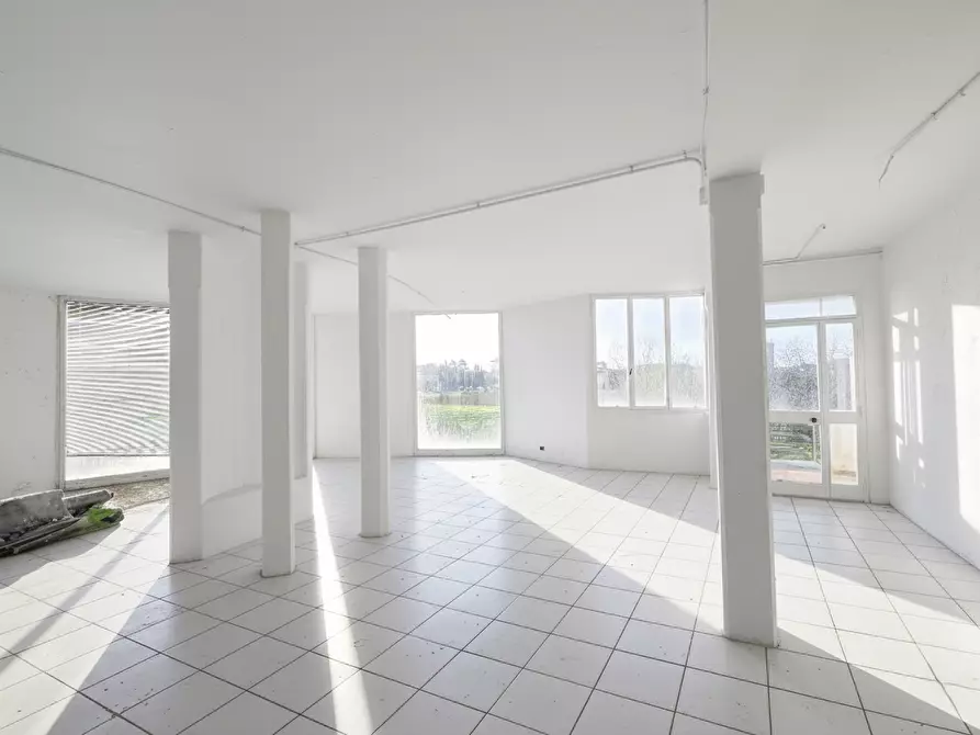 Immagine 6 di Capannone industriale in vendita  a Casciana Terme Lari