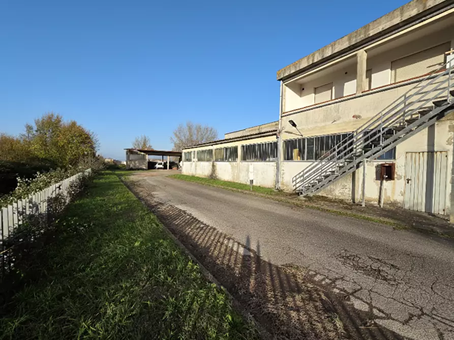 Immagine 4 di Capannone industriale in vendita  a Casciana Terme Lari