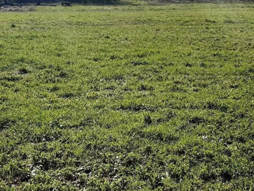 Immagine 4 di Terreno agricolo in vendita  a Colle Di Val D'elsa