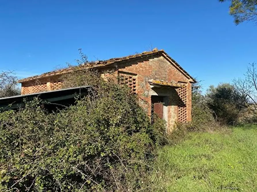 Immagine 8 di Terratetto in vendita  a Monteriggioni