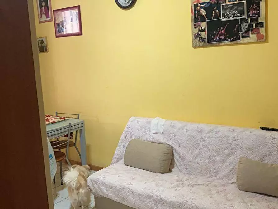 Immagine 4 di Appartamento in vendita  a Santa Maria A Monte