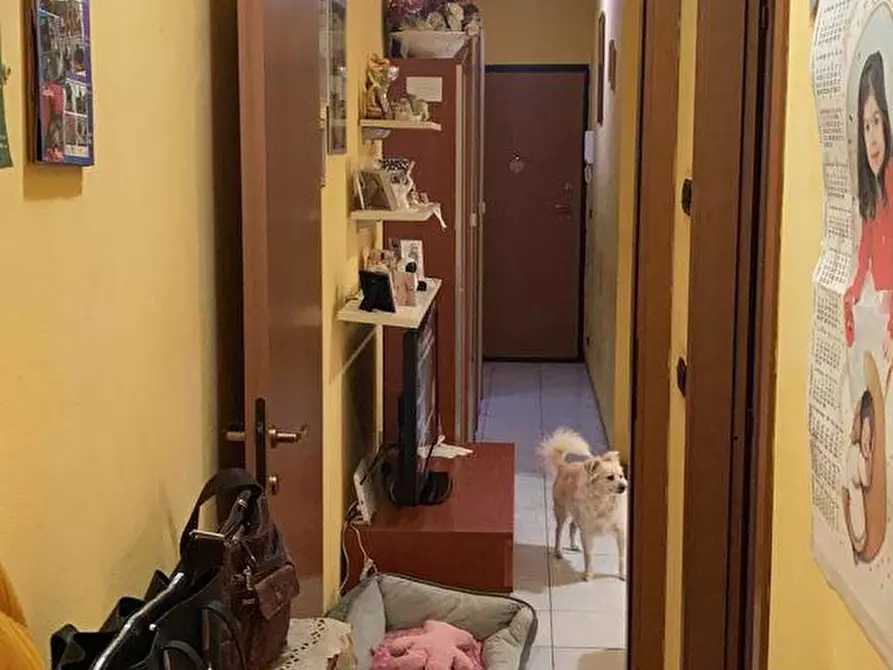 Immagine 7 di Appartamento in vendita  a Santa Maria A Monte