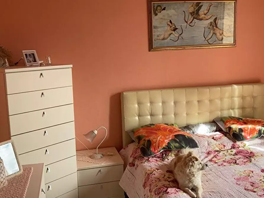 Immagine 10 di Appartamento in vendita  a Santa Maria A Monte