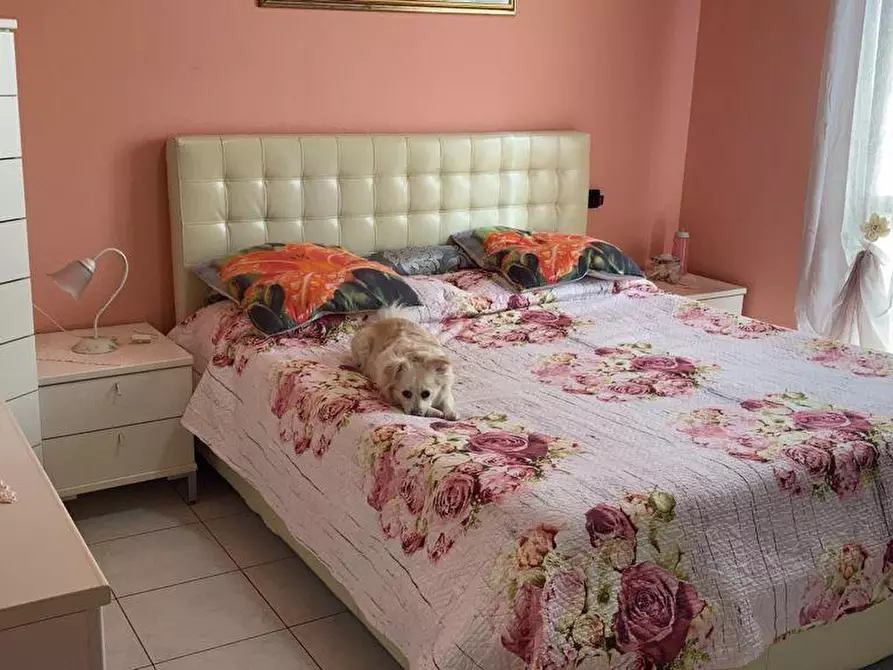 Immagine 9 di Appartamento in vendita  a Santa Maria A Monte